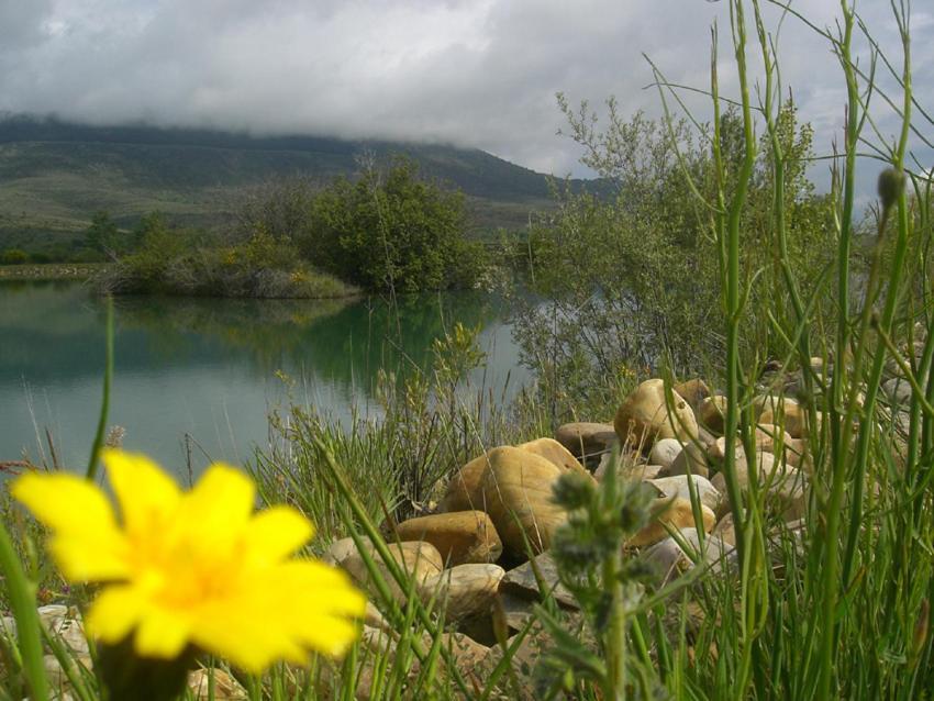 Al Viento, Alojamiento&Turismo Rural Prádena del Rincón Esterno foto