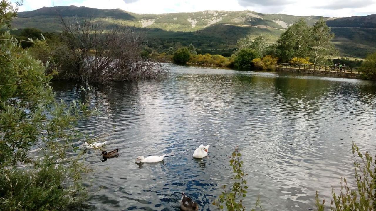 Al Viento, Alojamiento&Turismo Rural Prádena del Rincón Esterno foto