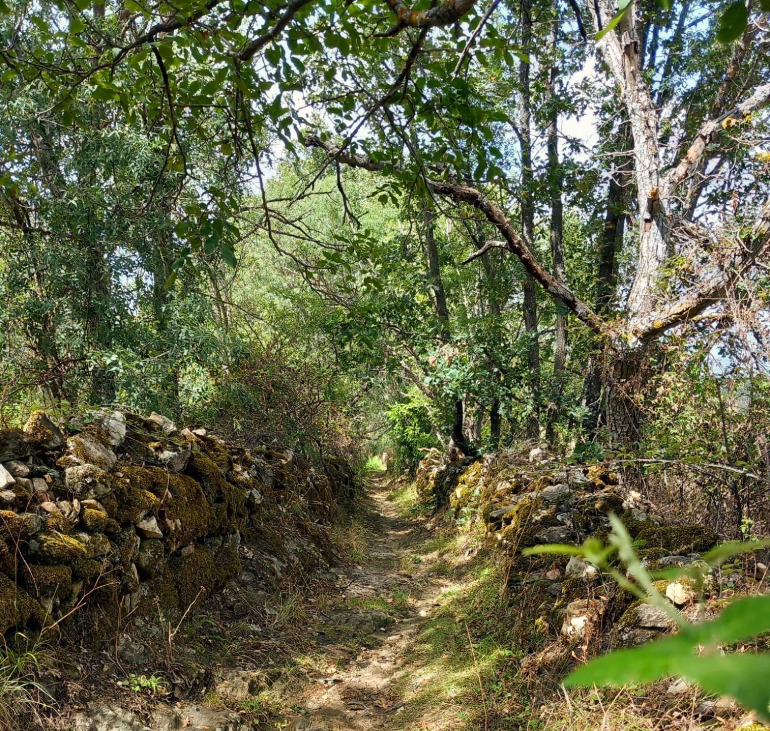 Al Viento, Alojamiento&Turismo Rural Prádena del Rincón Esterno foto