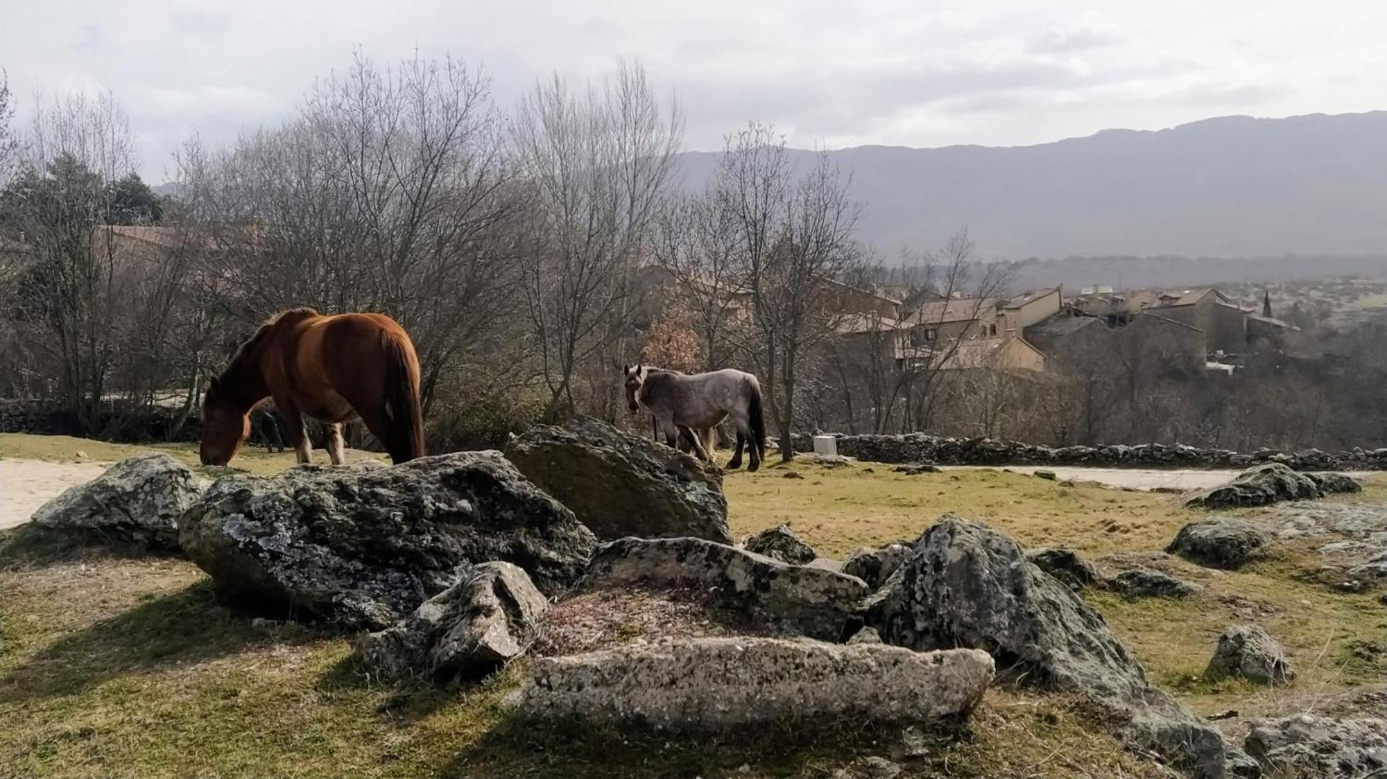 Al Viento, Alojamiento&Turismo Rural Prádena del Rincón Esterno foto