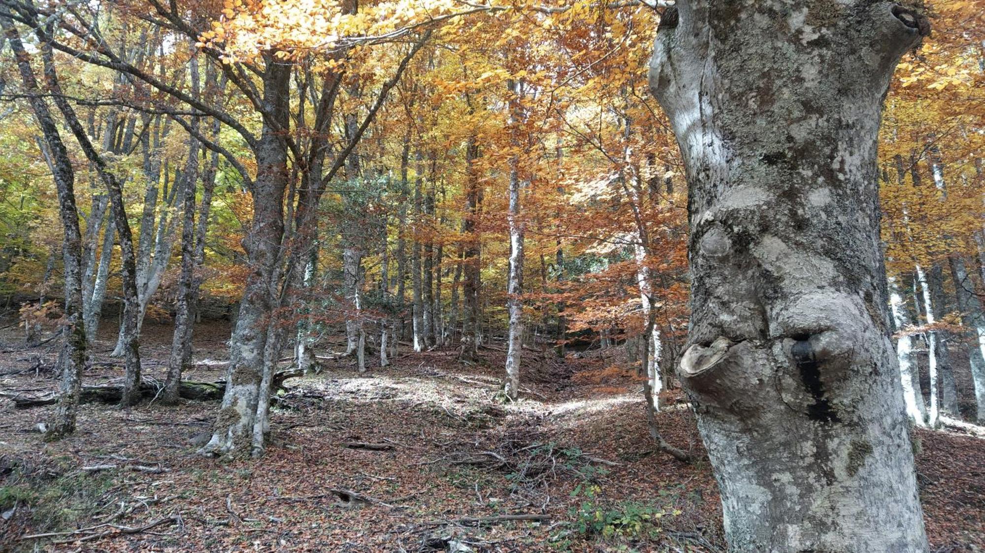 Al Viento, Alojamiento&Turismo Rural Prádena del Rincón Esterno foto