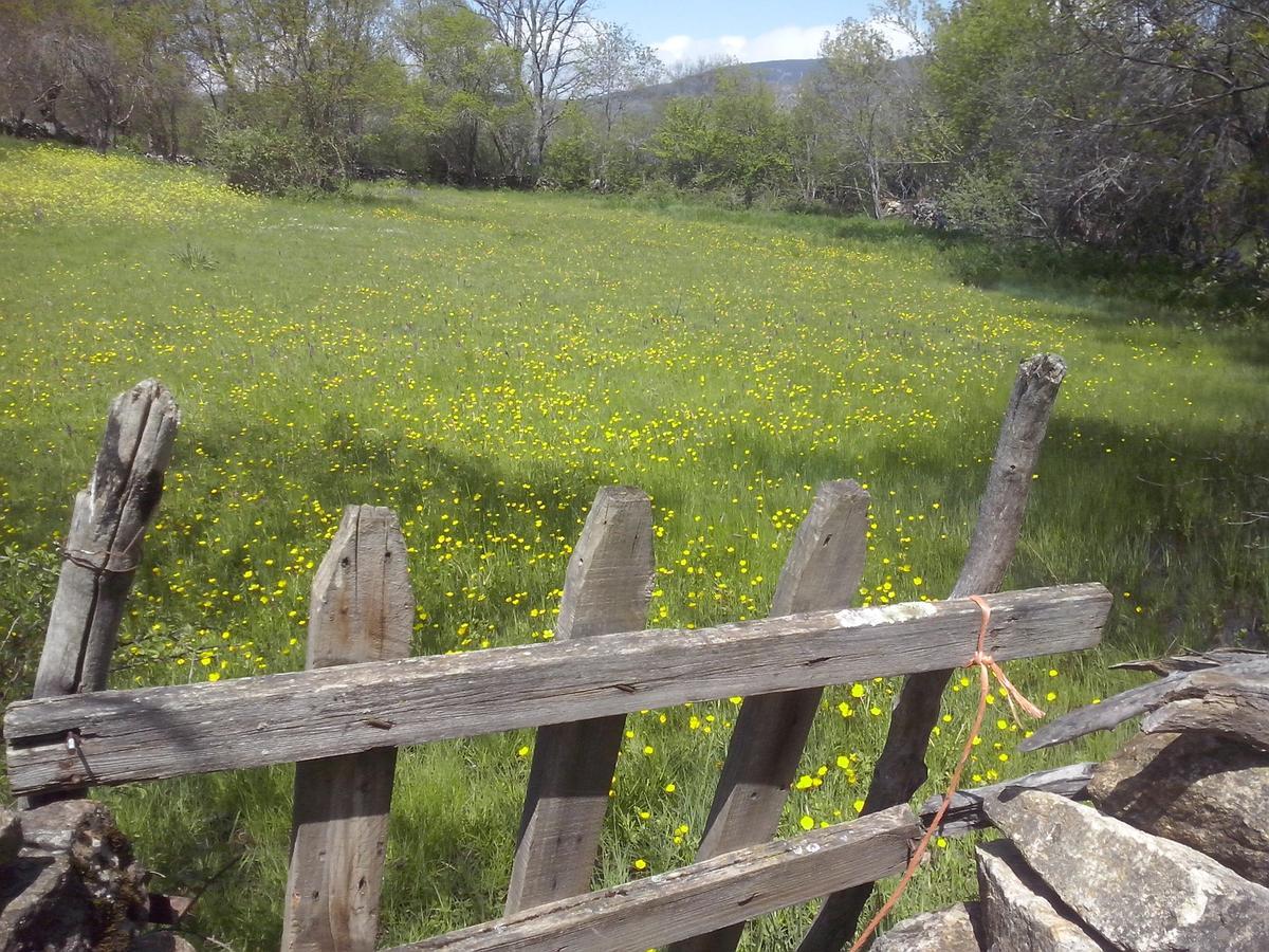 Al Viento, Alojamiento&Turismo Rural Prádena del Rincón Esterno foto