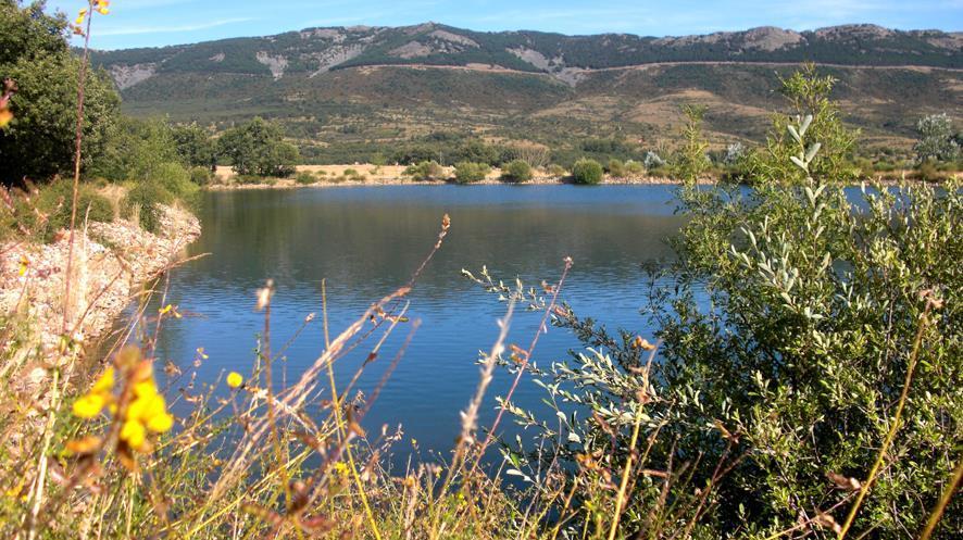 Al Viento, Alojamiento&Turismo Rural Prádena del Rincón Esterno foto