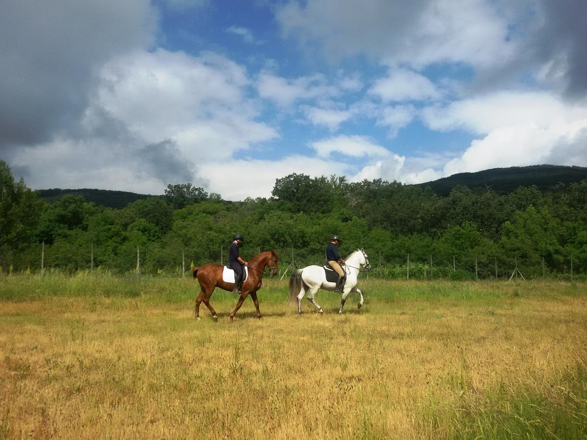 Al Viento, Alojamiento&Turismo Rural Prádena del Rincón Esterno foto